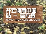 种植基地七