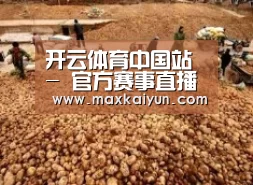 种植基地二