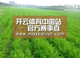 种植基地四