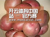 产品展示标题1