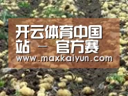 种植基地八(图1)