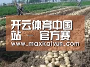 种植基地八