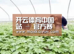 种植基地三