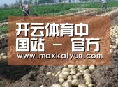 种植基地七(图1)