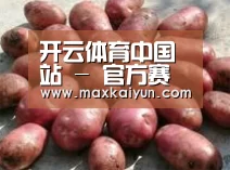 产品展示标题5