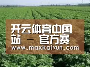 种植基地五