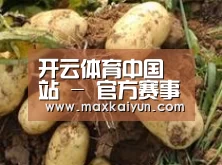 产品展示标题2