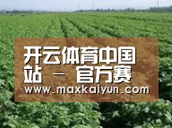 种植基地五(图1)