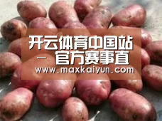 产品展示标题5(图1)