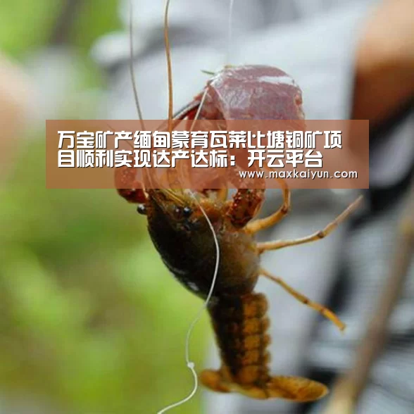 开云体育移动端