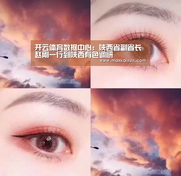 开云体育数据中心:陕西省副省长赵刚一行到陕西有色调研(图3) 开云体育移动端