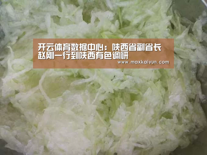 开云体育数据中心:陕西省副省长赵刚一行到陕西有色调研(图2) 开云平台
