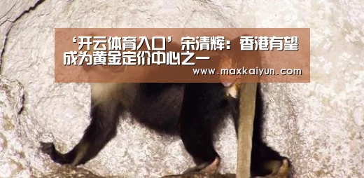 ‘开云体育入口’宋清辉:香港有望成为黄金定价中心之一(图3) 开云体育入口