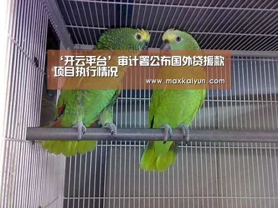 ‘开云平台’审计署公布国外贷援款项目执行情况(图1) 开云体育移动端