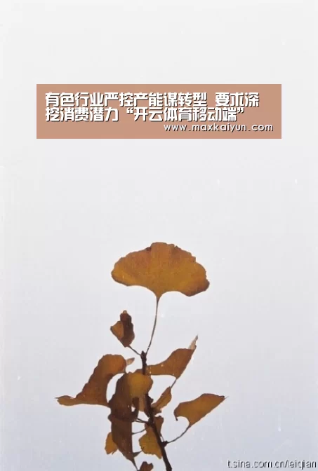 有色行业严控产能谋转型 要求深挖消费潜力“开云体育移动端”(图1) KAIYUN中国站