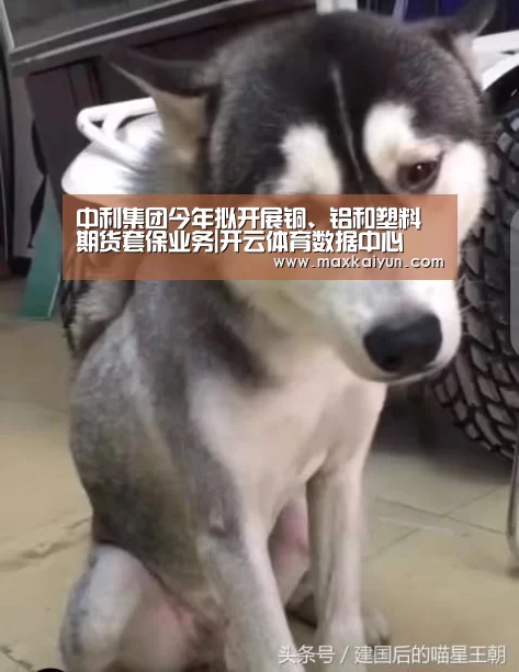 开云体育入口