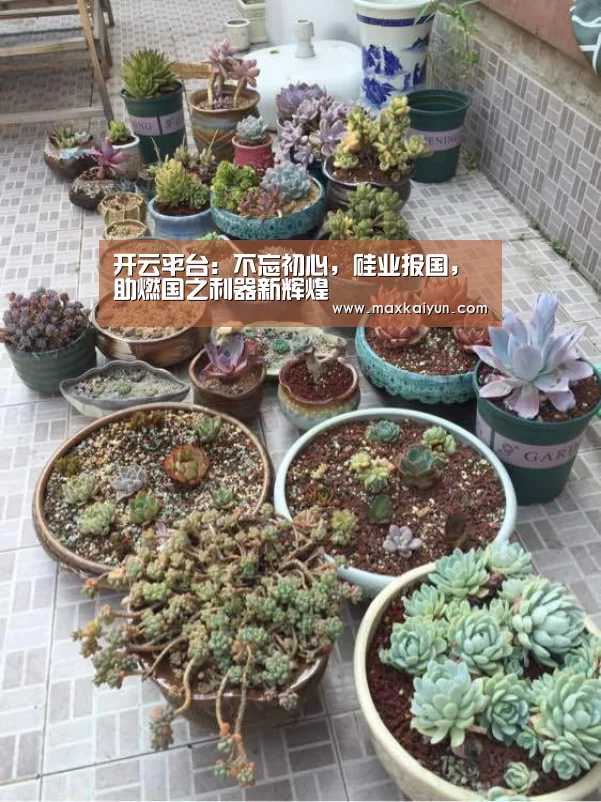 开云体育移动端