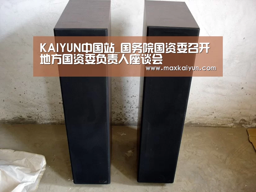KAIYUN中国站_国务院国资委召开地方国资委负责人座谈会(图2) 开云平台