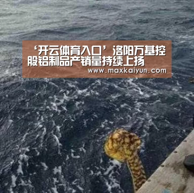 开云体育入口