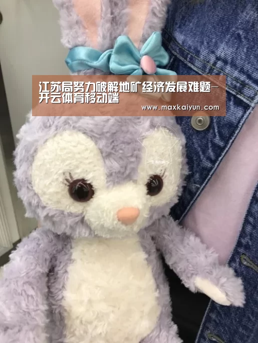 江苏局努力破解地矿经济发展难题-开云体育移动端(图1) 开云体育移动端