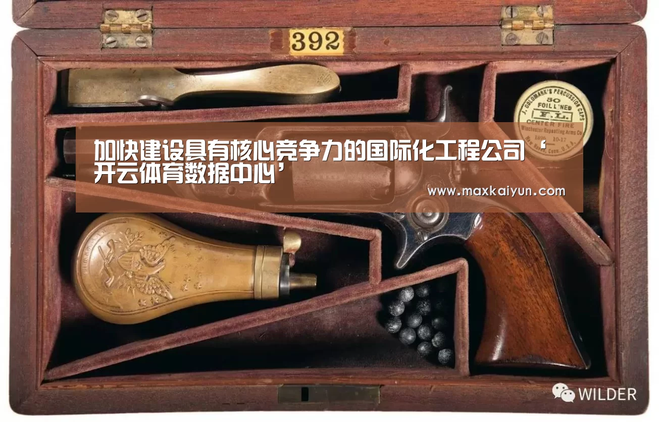 加快建设具有核心竞争力的国际化工程公司‘开云体育数据中心’(图1) 开云平台