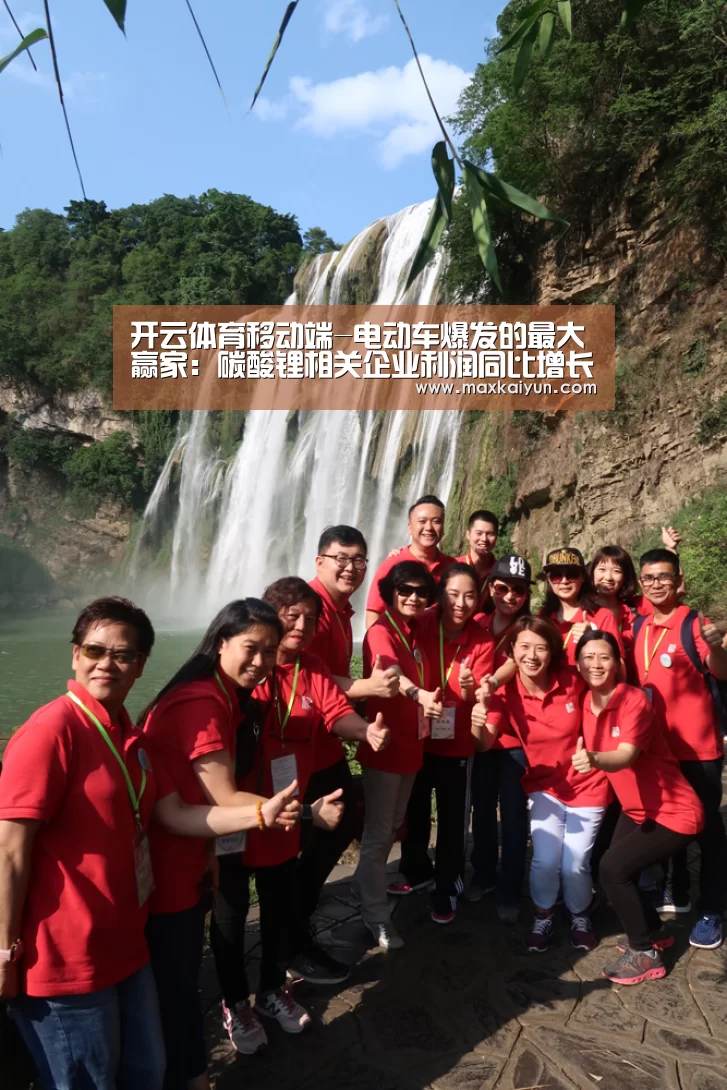 开云体育移动端-电动车爆发的最大赢家:碳酸锂相关企业利润同比增长超八倍(图2) KAIYUN中国站