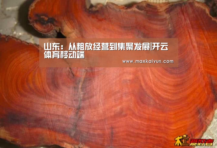 KAIYUN中国站