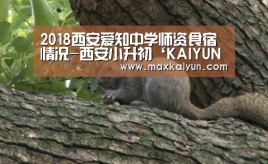 2018西安爱知中学师资食宿情况-西安小升初‘KAIYUN中国站’(图4) 开云平台